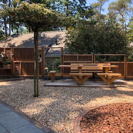 Veluwe Vakantiehuis - Bosuil Lodge 룬터렌 외부 사진