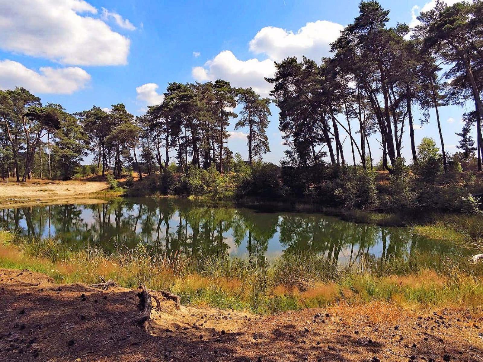 Veluwe Vakantiehuis - Bosuil Lodge 룬터렌 외부 사진